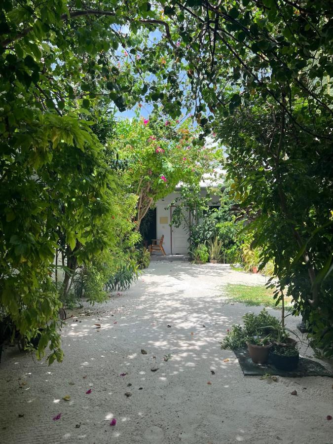 Lagoon Villa Maldives Thoddoo Eksteriør bilde