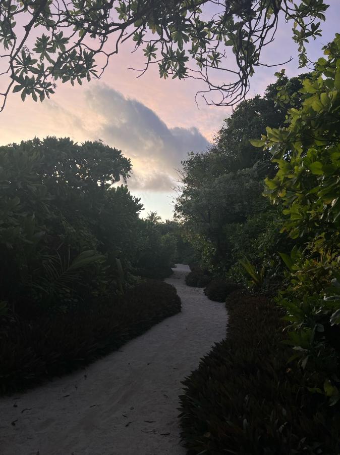 Lagoon Villa Maldives Thoddoo Eksteriør bilde