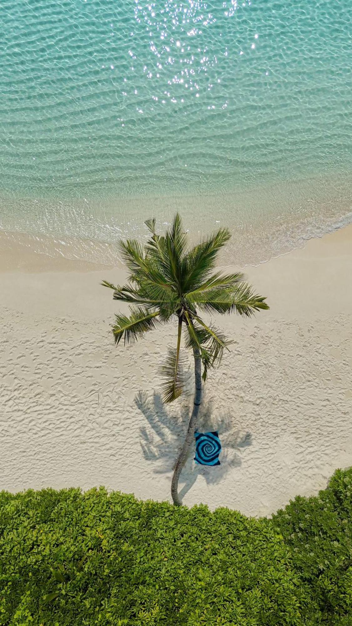 Lagoon Villa Maldives Thoddoo Eksteriør bilde