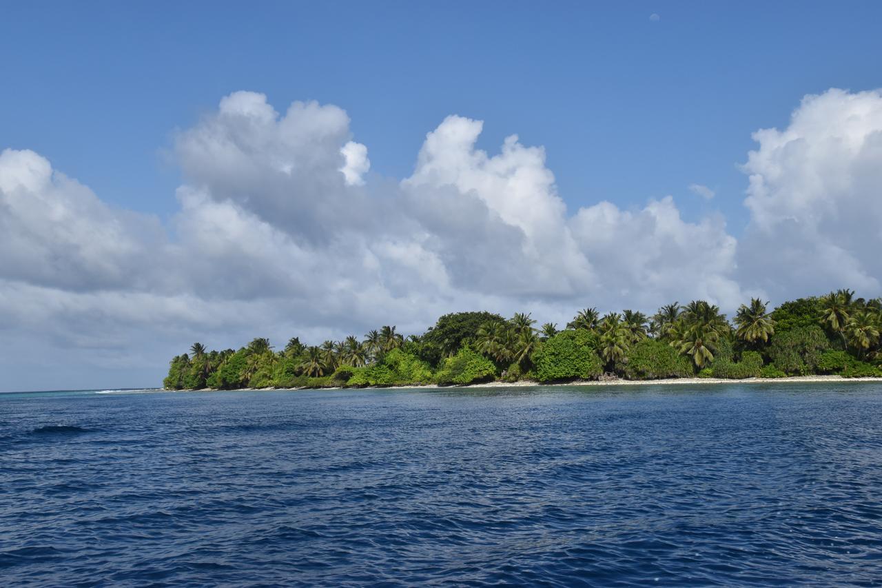 Lagoon Villa Maldives Thoddoo Eksteriør bilde