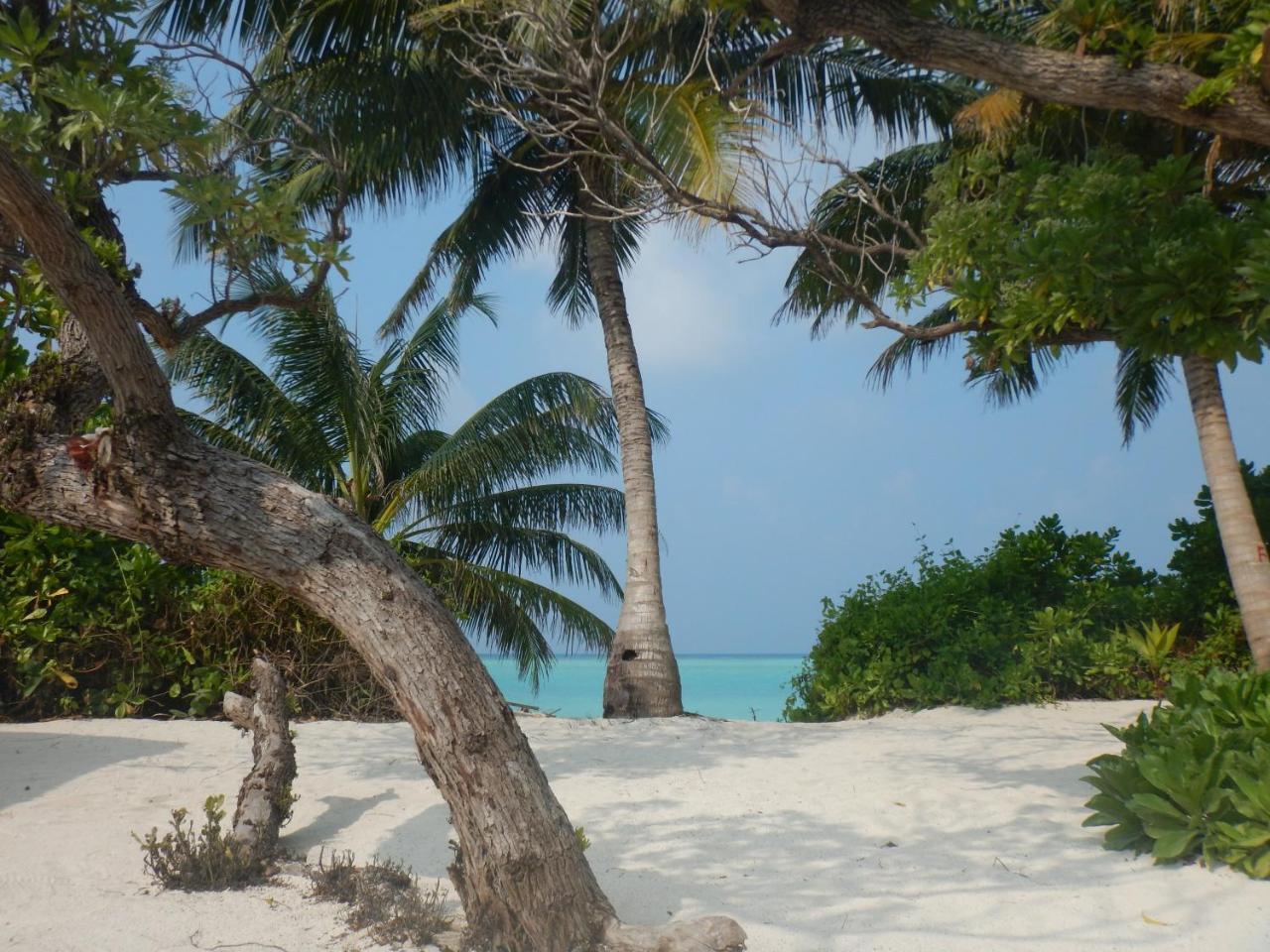 Lagoon Villa Maldives Thoddoo Eksteriør bilde